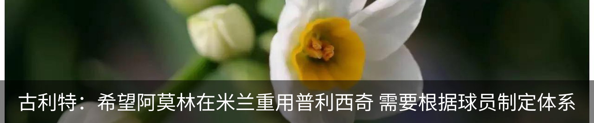 资讯中心