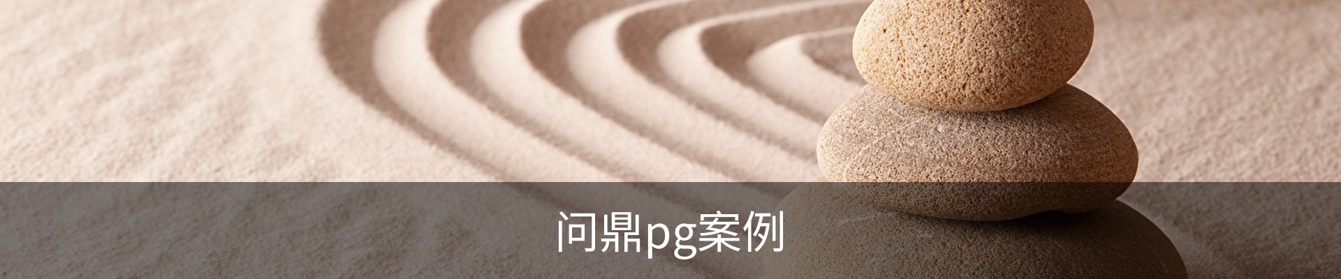 问鼎pg案例
